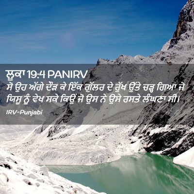 Picture 02 - ਲੂਕਾ 19:4 PANIRV - ਸੋ ਉਹ ਅੱਗੇ ਦੌੜ ਕੇ - Bible Verse Picture