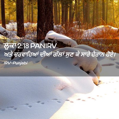Picture 02 - ਲੂਕਾ 2:18 PANIRV - ਅਤੇ ਚਰਵਾਹਿਆਂ ਦੀਆਂ - Bible Verse Picture