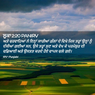 Picture 02 - ਲੂਕਾ 2:20 PANIRV - ਅਤੇ ਚਰਵਾਹਿਆਂ ਨੇ - Bible Verse Picture