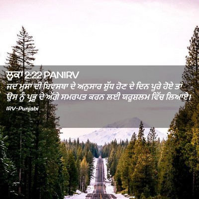Picture 02 - ਲੂਕਾ 2:22 PANIRV - ਜਦ ਮੂਸਾ ਦੀ ਬਿਵਸਥਾ - Bible Verse Picture
