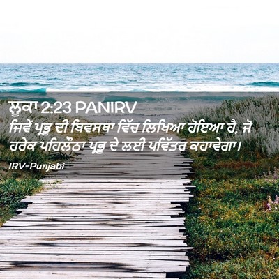Picture 02 - ਲੂਕਾ 2:23 PANIRV - ਜਿਵੇਂ ਪ੍ਰਭੂ ਦੀ - Bible Verse Picture