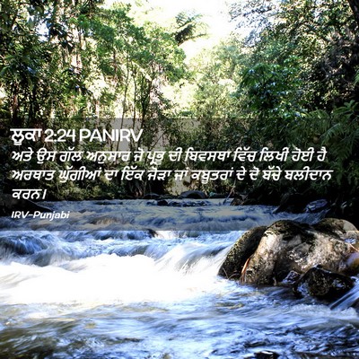 Picture 02 - ਲੂਕਾ 2:24 PANIRV - ਅਤੇ ਉਸ ਗੱਲ ਅਨੁਸਾਰ - Bible Verse Picture