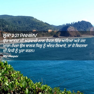 Picture 02 - ਲੂਕਾ 2:27 PANIRV - ਉਹ ਆਤਮਾ ਦੀ ਅਗਵਾਈ - Bible Verse Picture