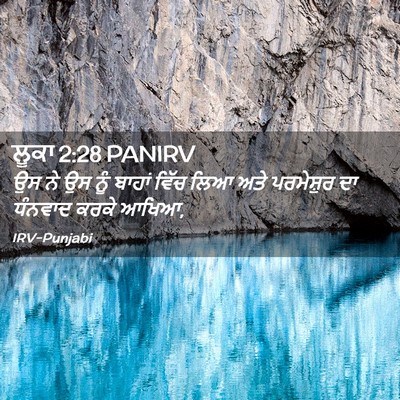 Picture 02 - ਲੂਕਾ 2:28 PANIRV - ਉਸ ਨੇ ਉਸ ਨੂੰ ਬਾਹਾਂ - Bible Verse Picture