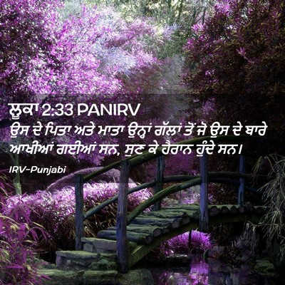 Picture 02 - ਲੂਕਾ 2:33 PANIRV - ਉਸ ਦੇ ਪਿਤਾ ਅਤੇ ਮਾਤਾ - Bible Verse Picture