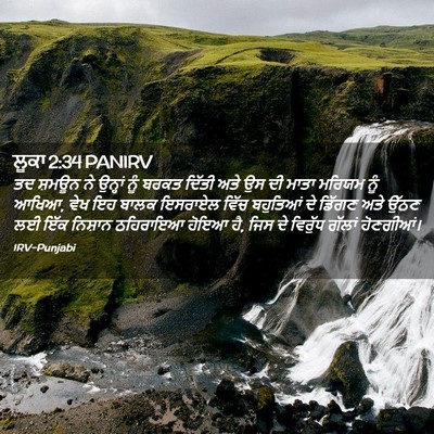 Picture 02 - ਲੂਕਾ 2:34 PANIRV - ਤਦ ਸ਼ਮਊਨ ਨੇ ਉਨ੍ਹਾਂ - Bible Verse Picture