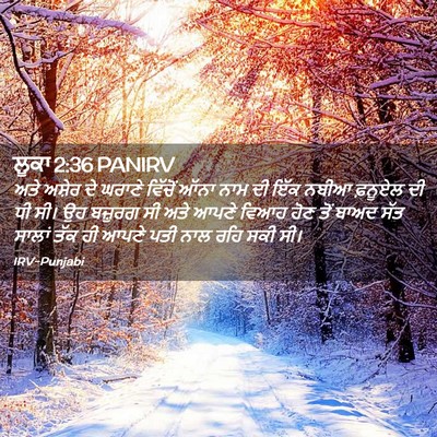 Picture 02 - ਲੂਕਾ 2:36 PANIRV - ਅਤੇ ਅਸ਼ੇਰ ਦੇ ਘਰਾਣੇ - Bible Verse Picture