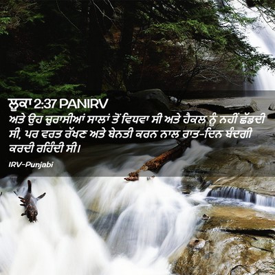 Picture 02 - ਲੂਕਾ 2:37 PANIRV - ਅਤੇ ਉਹ ਚੁਰਾਸੀਆਂ - Bible Verse Picture