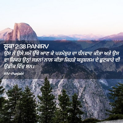Picture 02 - ਲੂਕਾ 2:38 PANIRV - ਉਸ ਨੇ ਉਸੇ ਸਮੇਂ ਉੱਥੇ - Bible Verse Picture