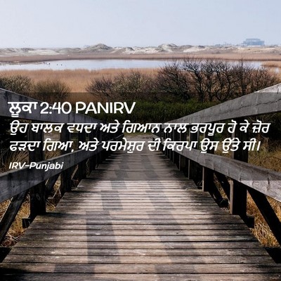 Picture 02 - ਲੂਕਾ 2:40 PANIRV - ਉਹ ਬਾਲਕ ਵਧਦਾ ਅਤੇ - Bible Verse Picture