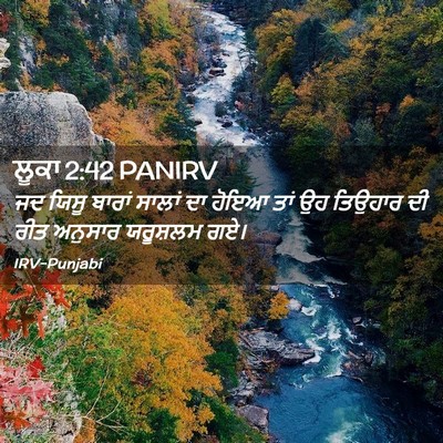Picture 02 - ਲੂਕਾ 2:42 PANIRV - ਜਦ ਯਿਸੂ ਬਾਰਾਂ - Bible Verse Picture