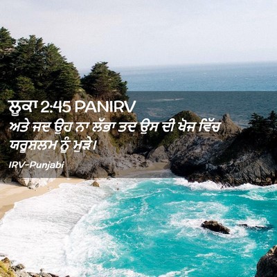 Picture 02 - ਲੂਕਾ 2:45 PANIRV - ਅਤੇ ਜਦ ਉਹ ਨਾ ਲੱਭਾ - Bible Verse Picture