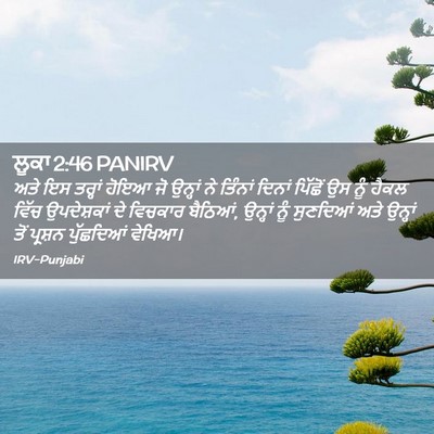 Picture 02 - ਲੂਕਾ 2:46 PANIRV - ਅਤੇ ਇਸ ਤਰ੍ਹਾਂ ਹੋਇਆ - Bible Verse Picture