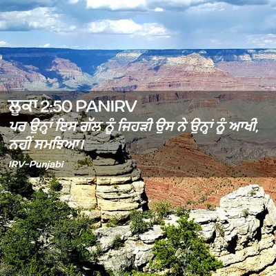 Picture 02 - ਲੂਕਾ 2:50 PANIRV - ਪਰ ਉਨ੍ਹਾਂ ਇਸ ਗੱਲ - Bible Verse Picture