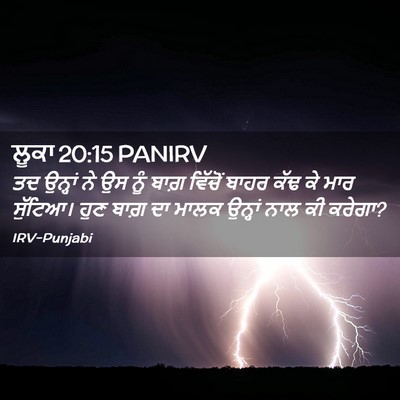 Picture 02 - ਲੂਕਾ 20:15 PANIRV - ਤਦ ਉਨ੍ਹਾਂ ਨੇ ਉਸ ਨੂੰ - Bible Verse Picture