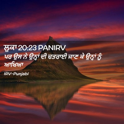 Picture 02 - ਲੂਕਾ 20:23 PANIRV - ਪਰ ਉਸ ਨੇ ਉਨ੍ਹਾਂ ਦੀ - Bible Verse Picture