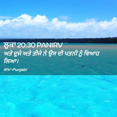 Picture 02 - ਲੂਕਾ 20:30 PANIRV - ਅਤੇ ਦੂਜੇ ਅਤੇ ਤੀਜੇ - Bible Verse Picture