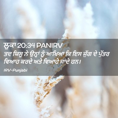 Picture 02 - ਲੂਕਾ 20:34 PANIRV - ਤਦ ਯਿਸੂ ਨੇ ਉਨ੍ਹਾਂ - Bible Verse Picture