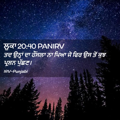 Picture 02 - ਲੂਕਾ 20:40 PANIRV - ਤਦ ਉਨ੍ਹਾਂ ਦਾ - Bible Verse Picture
