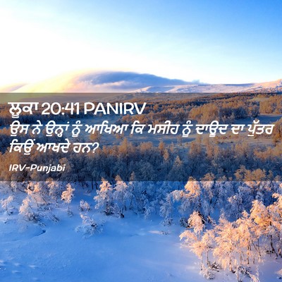 Picture 02 - ਲੂਕਾ 20:41 PANIRV - ਉਸ ਨੇ ਉਨ੍ਹਾਂ ਨੂੰ - Bible Verse Picture
