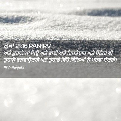 Picture 02 - ਲੂਕਾ 21:16 PANIRV - ਅਤੇ ਤੁਹਾਡੇ ਮਾਂ ਪਿਉ - Bible Verse Picture
