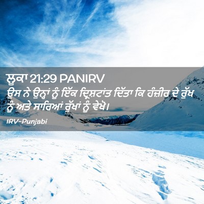 Picture 02 - ਲੂਕਾ 21:29 PANIRV - ਉਸ ਨੇ ਉਨ੍ਹਾਂ ਨੂੰ - Bible Verse Picture