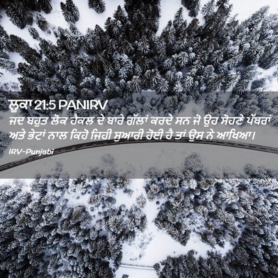 Picture 02 - ਲੂਕਾ 21:5 PANIRV - ਜਦ ਬਹੁਤ ਲੋਕ ਹੈਕਲ ਦੇ - Bible Verse Picture