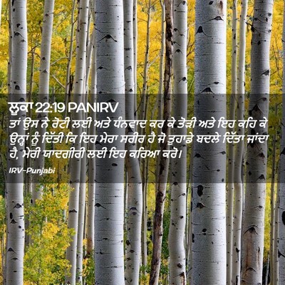 Picture 02 - ਲੂਕਾ 22:19 PANIRV - ਤਾਂ ਉਸ ਨੇ ਰੋਟੀ ਲਈ - Bible Verse Picture