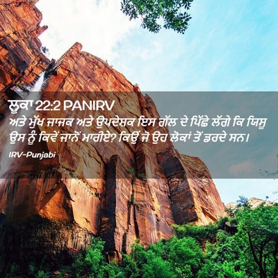 Picture 02 - ਲੂਕਾ 22:2 PANIRV - ਅਤੇ ਮੁੱਖ ਜਾਜਕ ਅਤੇ - Bible Verse Picture