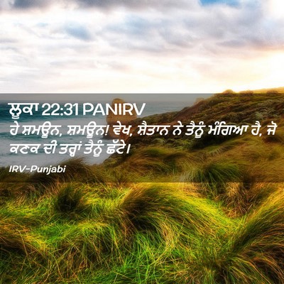 Picture 02 - ਲੂਕਾ 22:31 PANIRV - ਹੇ ਸ਼ਮਊਨ, ਸ਼ਮਊਨ! - Bible Verse Picture