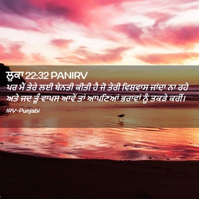 Picture 02 - ਲੂਕਾ 22:32 PANIRV - ਪਰ ਮੈਂ ਤੇਰੇ ਲਈ - Bible Verse Picture