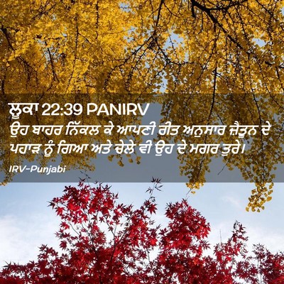 Picture 02 - ਲੂਕਾ 22:39 PANIRV - ਉਹ ਬਾਹਰ ਨਿੱਕਲ ਕੇ - Bible Verse Picture