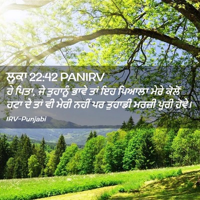 Picture 02 - ਲੂਕਾ 22:42 PANIRV - ਹੇ ਪਿਤਾ, ਜੇ ਤੁਹਾਨੂੰ - Bible Verse Picture
