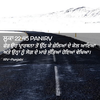 Picture 02 - ਲੂਕਾ 22:45 PANIRV - ਫੇਰ ਉਹ ਪ੍ਰਾਰਥਨਾ - Bible Verse Picture