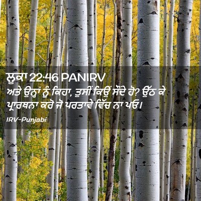 Picture 02 - ਲੂਕਾ 22:46 PANIRV - ਅਤੇ ਉਨ੍ਹਾਂ ਨੂੰ - Bible Verse Picture