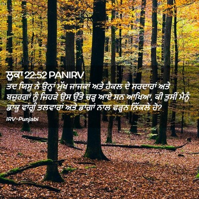 Picture 02 - ਲੂਕਾ 22:52 PANIRV - ਤਦ ਯਿਸੂ ਨੇ ਉਨ੍ਹਾਂ - Bible Verse Picture
