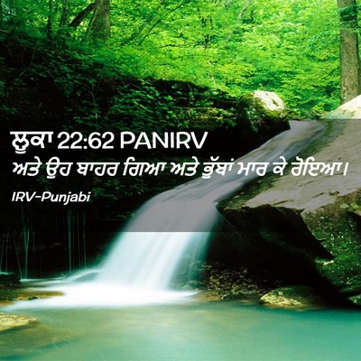 Picture 02 - ਲੂਕਾ 22:62 PANIRV - ਅਤੇ ਉਹ ਬਾਹਰ ਗਿਆ ਅਤੇ - Bible Verse Picture