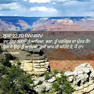 Picture 02 - ਲੂਕਾ 22:70 PANIRV - ਤਦ ਉਨ੍ਹਾਂ ਸਭਨਾਂ ਨੇ - Bible Verse Picture