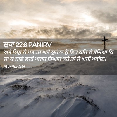 Picture 02 - ਲੂਕਾ 22:8 PANIRV - ਅਤੇ ਯਿਸੂ ਨੇ ਪਤਰਸ - Bible Verse Picture