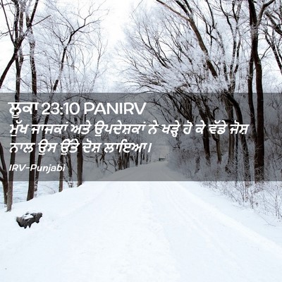 Picture 02 - ਲੂਕਾ 23:10 PANIRV - ਮੁੱਖ ਜਾਜਕਾਂ ਅਤੇ - Bible Verse Picture