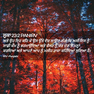 Picture 02 - ਲੂਕਾ 23:2 PANIRV - ਅਤੇ ਉਹ ਇਹ ਕਹਿ ਕੇ ਉਸ - Bible Verse Picture