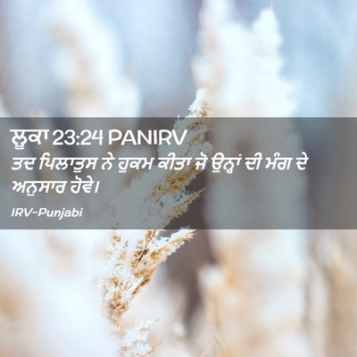 Picture 02 - ਲੂਕਾ 23:24 PANIRV - ਤਦ ਪਿਲਾਤੁਸ ਨੇ ਹੁਕਮ - Bible Verse Picture