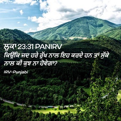 Picture 02 - ਲੂਕਾ 23:31 PANIRV - ਕਿਉਂਕਿ ਜਦ ਹਰੇ ਰੁੱਖ - Bible Verse Picture