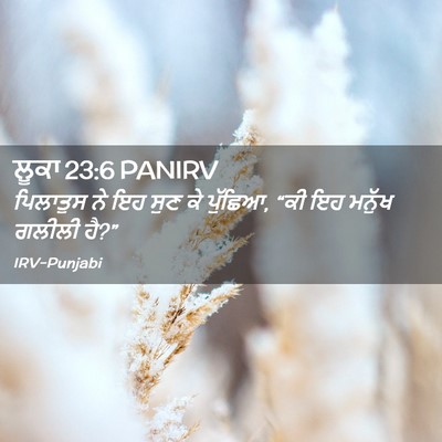 Picture 02 - ਲੂਕਾ 23:6 PANIRV - ਪਿਲਾਤੁਸ ਨੇ ਇਹ ਸੁਣ - Bible Verse Picture