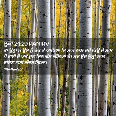 Picture 02 - ਲੂਕਾ 24:29 PANIRV - ਤਾਂ ਉਨ੍ਹਾਂ ਨੇ ਉਸ - Bible Verse Picture
