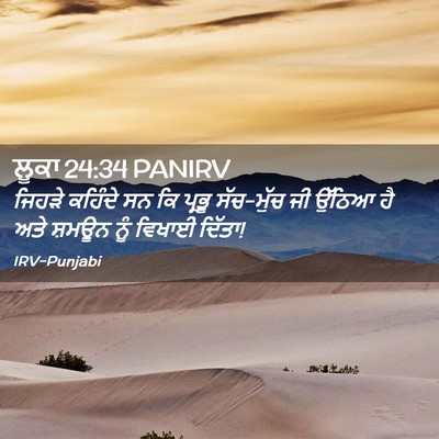 Picture 02 - ਲੂਕਾ 24:34 PANIRV - ਜਿਹੜੇ ਕਹਿੰਦੇ ਸਨ ਕਿ - Bible Verse Picture