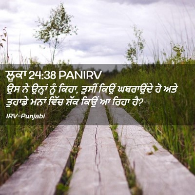 Picture 02 - ਲੂਕਾ 24:38 PANIRV - ਉਸ ਨੇ ਉਨ੍ਹਾਂ ਨੂੰ - Bible Verse Picture