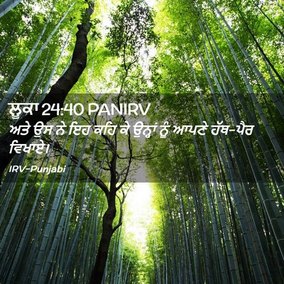 Picture 02 - ਲੂਕਾ 24:40 PANIRV - ਅਤੇ ਉਸ ਨੇ ਇਹ ਕਹਿ ਕੇ - Bible Verse Picture
