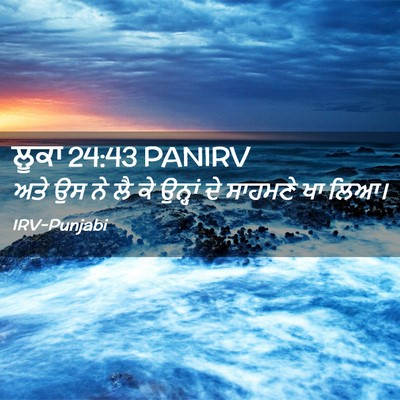 Picture 02 - ਲੂਕਾ 24:43 PANIRV - ਅਤੇ ਉਸ ਨੇ ਲੈ ਕੇ - Bible Verse Picture