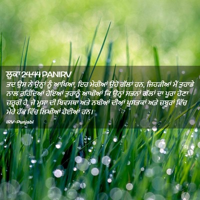 Picture 02 - ਲੂਕਾ 24:44 PANIRV - ਤਦ ਉਸ ਨੇ ਉਨ੍ਹਾਂ ਨੂੰ - Bible Verse Picture